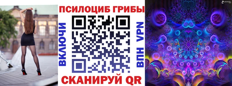 Псилоцибиновые грибы Psilocybine cubensis  Купить где  Белая Холуница 