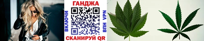 Марихуана план  Купить где  Белая Холуница 